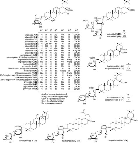 齐墩果烷型三萜皂苷的新生物功能作用 Journal of Natural Medicines X MOL