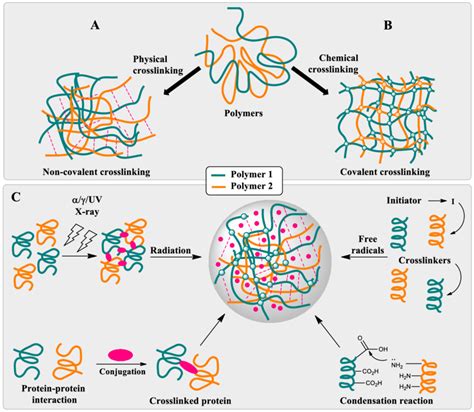 -Schematic representation of the crosslinking methods: physical ...