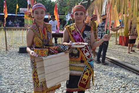 DAYAK EMBALOH Strata Sosial Sistem Pertahanannya Budaya Indonesia