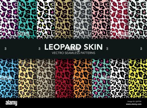 Vector Leopard Skin Seamless Pattern Set Animal Seamless Texture