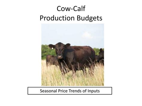 Cow Calf Cost Of Production | cowscosmo