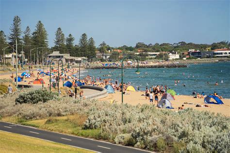 Elwood Beach Melbourne Stock Photo Download Image Now Istock