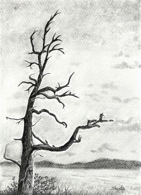 37 Dead Tree Pencil Drawings ideas | tree, drawings, pencil drawings