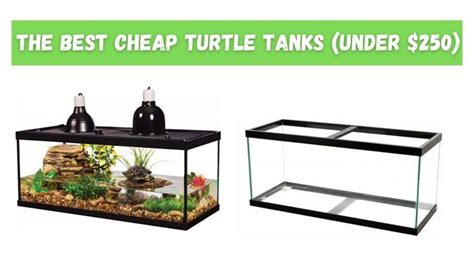 Deluxe Aquatic Turtle Kit Aquarium Kit Zilla