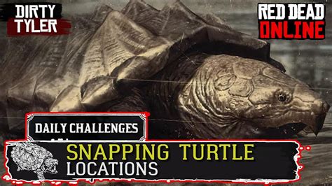 Turtles Location Red Dead Online American Snapping Turtle Locations