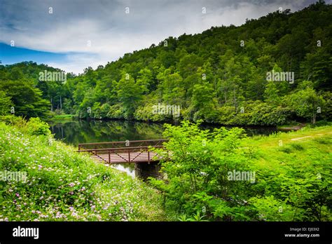 Pond At Julian Price Memorial Park Along The Blue Ridge Parkway Near