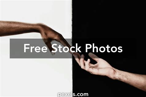 1000+ Amazing Low Contrast Photos Pexels · Free Stock Photos