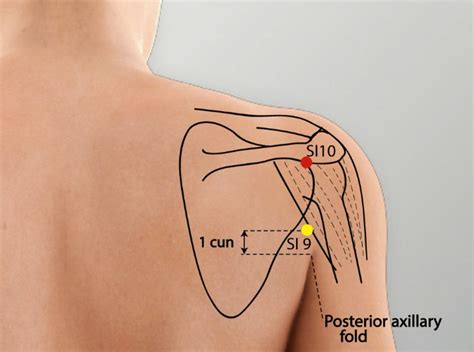 Si Acupuncture Point