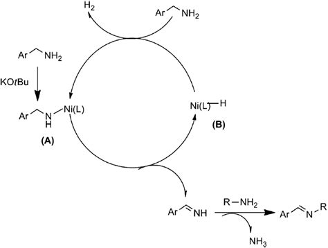 Possible mechanism for benzylic amines dehydrogenation | Download ...