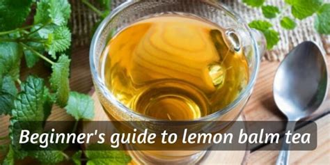 Beginner's Guide To Lemon Balm Tea (And How To Make A Cup)