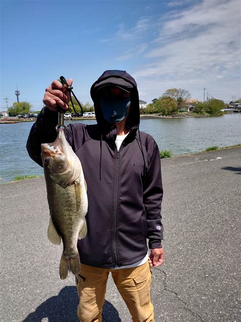 生き餌の親子 さんの 2022年04月17日のブラックバスの釣り・釣果情報滋賀県 木浜3号水路 アングラーズ 釣果500万件の