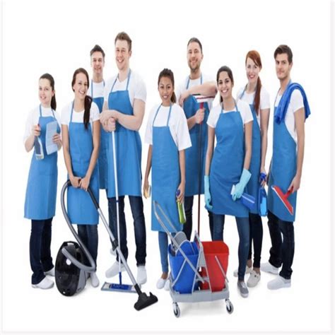 Cleaning Housekeeping Manpower Services At Rs Month In Bengaluru