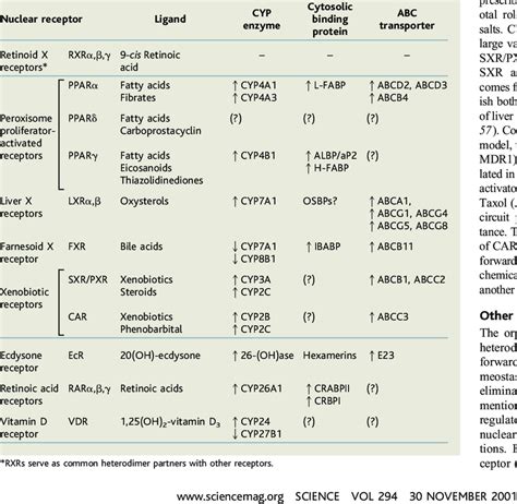 The Nuclear Receptor Ligand Metabolic Cascade The Rxr Heterodimers Download Scientific