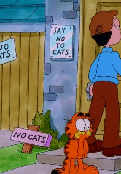 Watch Garfield and Friends S07 E714 The Man Who Hated Cats Déjà Vu