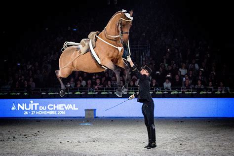 Le Salon du cheval de Paris fait son retour - L'Eperon