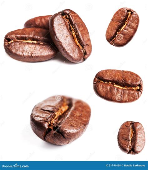 Collection Of Coffee Beans Isolated On White Background Closeup Stock