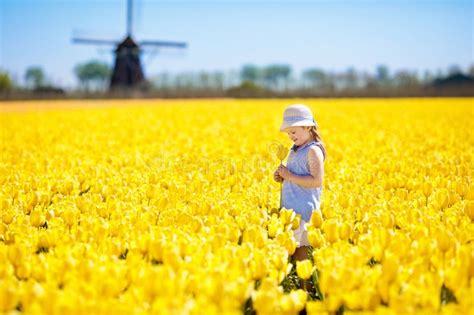 Kids In Tulip Flower Field Windmill In Holland Stock Photo Image Of