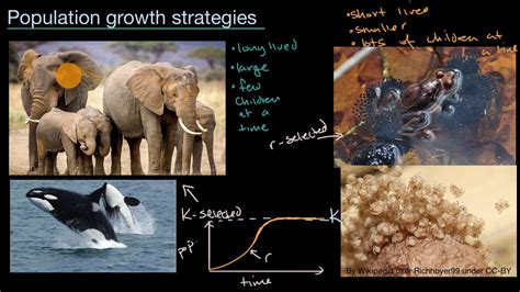 Describing Populations And Their Growth Understand Practice Khan Academy