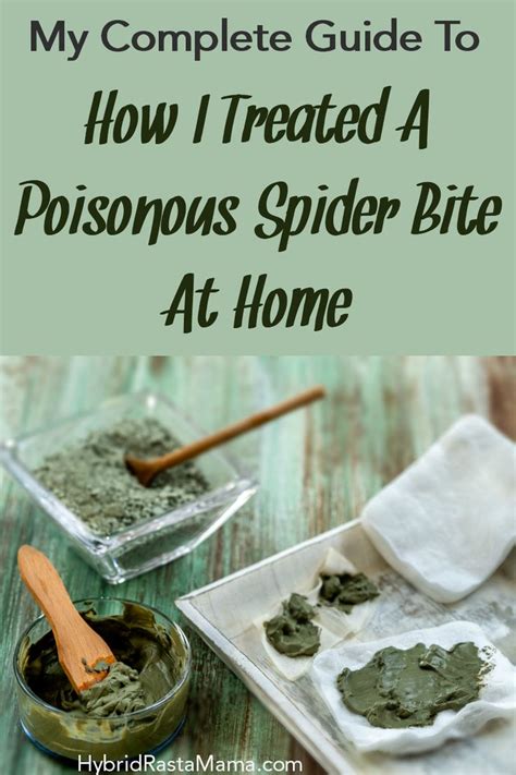 How To Treat A Spider Bite At Home | Spider bite treatment, Spider bites, Brown recluse spider ...