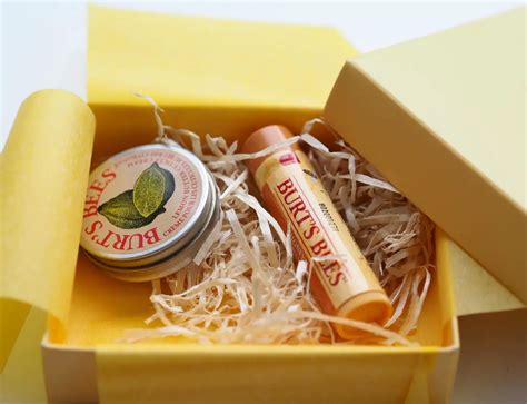 Burt's Bees Gift Sets | British Beauty Blogger