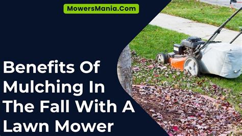 Benefits Of Mulching In The Fall With A Lawn Mower Mowersmaniacom