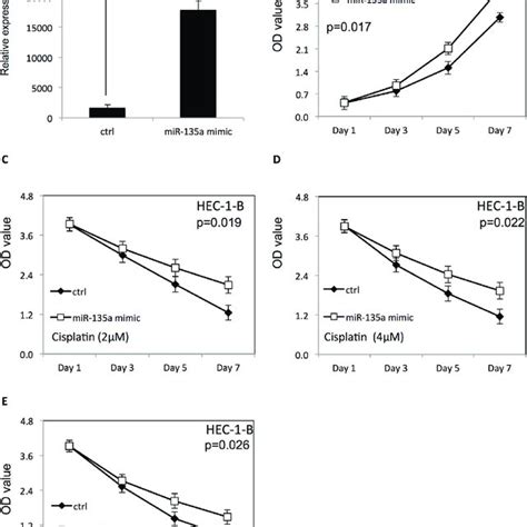 Overexpression Of Mir 135a Improved The Proliferation And Survival Of Download Scientific