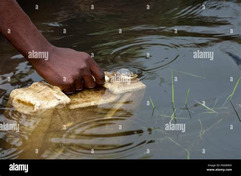 Collecting dirty water africa hi-res stock photography and images - Alamy