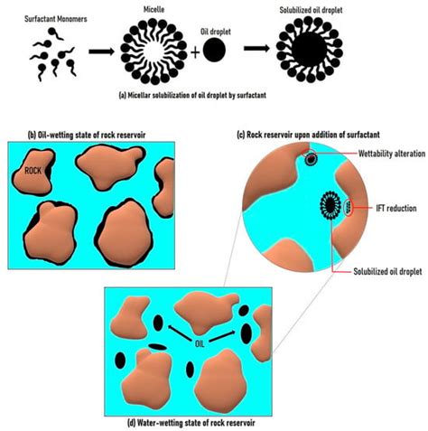 Molecules Free Full Text New Trends In Biosurfactants From