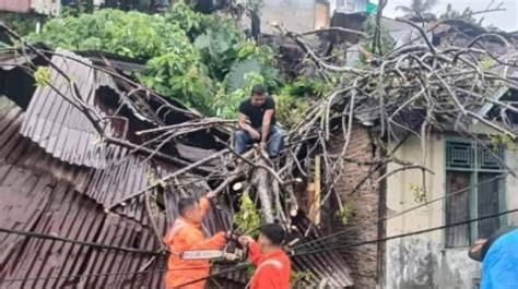 Angin Kencang Terjang Padang Pohon Tumbang Timpa Rumah Warga