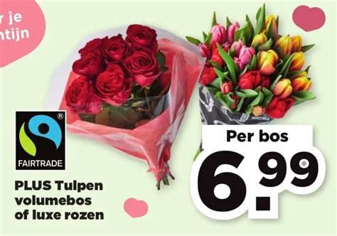 Tulpen Volumebos Of Luxe Rozen Aanbieding Bij PLUS