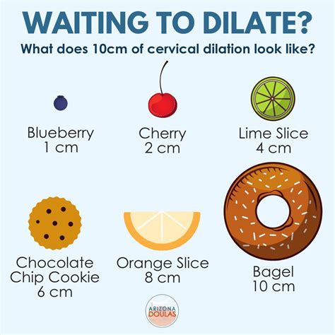 Cervix Dilation Chart The Stages Of Labor In Pictures