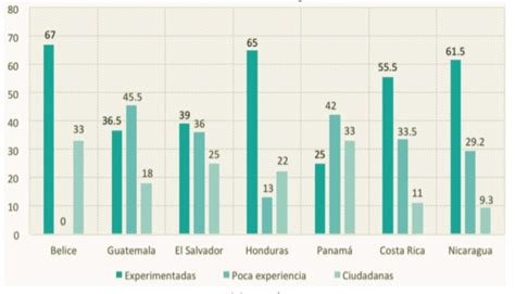 El perfil profesional y político de las mujeres electas como alcaldesas