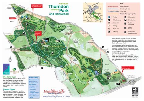 Thorndon Country Park Where To Go With Kids