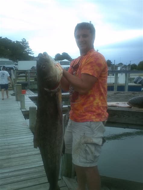 Emerald Isle Fishing Report: Emerald Isle fishing turns on..