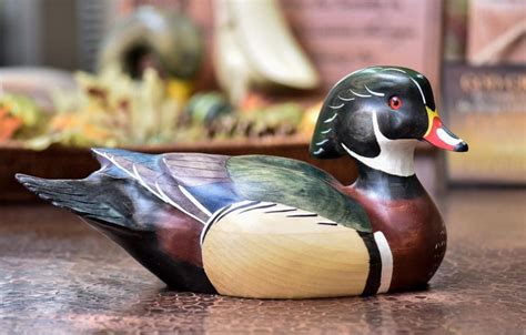 Apricot Wood Duck