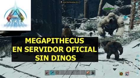 Ark Survival Ascended Megapithecus Solo Servidor Oficial Pve Sin Dinos