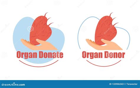 Organ Donor Heart Donation Flat Vector Icons Set Stock Vector