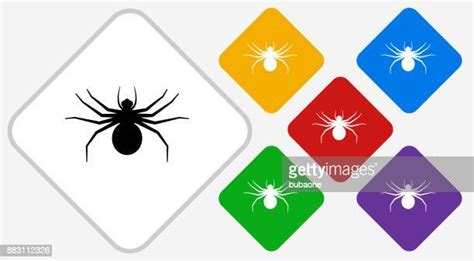 459 Red And Yellow Spider Stock Photos, High-Res Pictures, and Images ...