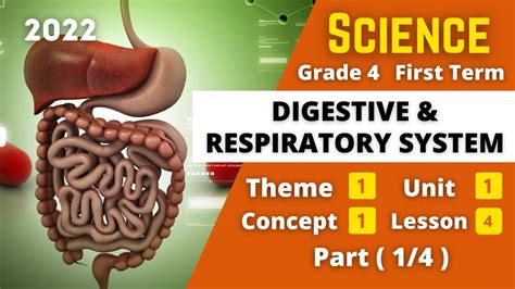 SCIENCE Grade 4 Digestive Respiratory System 1 Unit 1