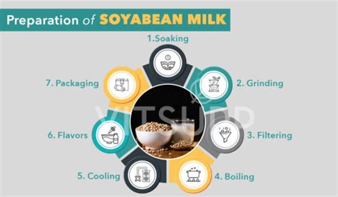 What Is Soy Milk Everything You Need To Know About Soy Milk Vitsupp