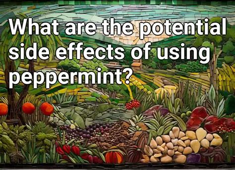 What are the potential side effects of using peppermint? – Agriculture ...