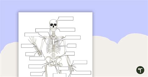 Free Human Skeletal System Worksheet Download Free Human Skeletal