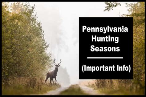 Pennsylvania Hunting Seasons 2024 2025 New Regulations And Dates