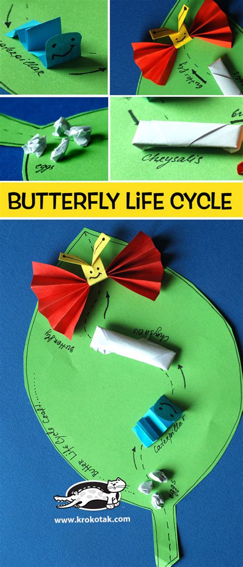 krokotak | Butterfly Life Cycle Craft