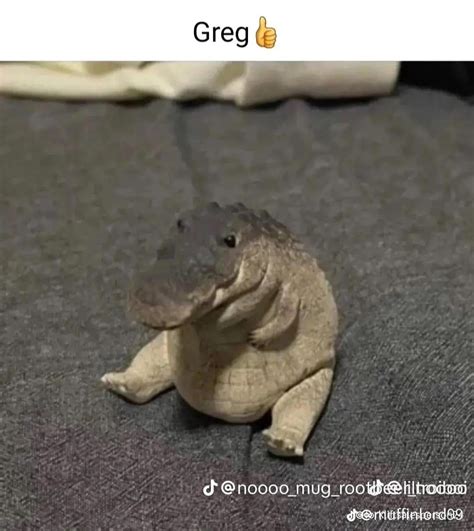 This Is Greg Greg Is A Crocodile Rantimeme