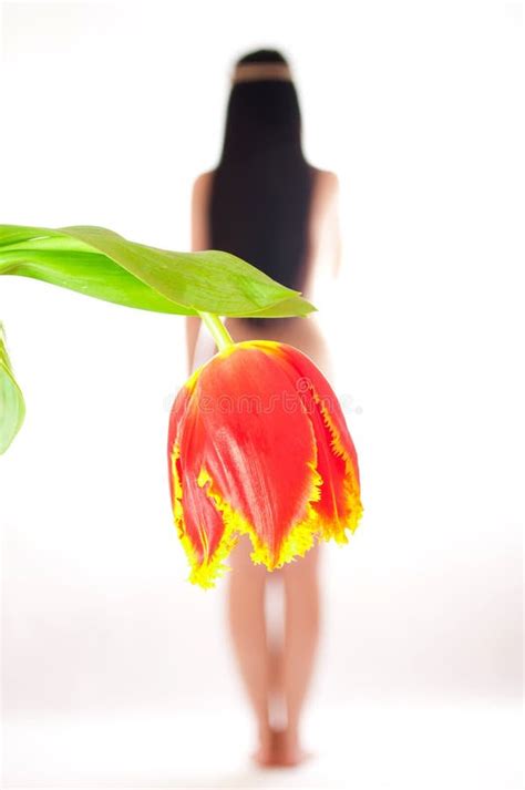 The Naked Girl On A White Background Stock Photo Image Of Girl Background