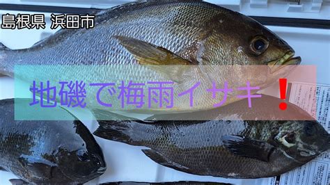 『フカセ釣り』地磯でグレ、イサキを狙う‼️ 島根県浜田市 山陰釣り新報