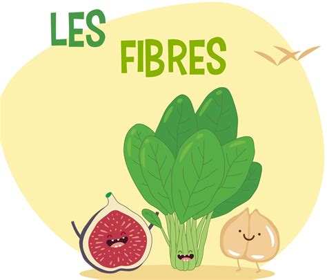 Les Fibres Yuka Fibre Aliments Riches En Fibres Additifs Alimentaires