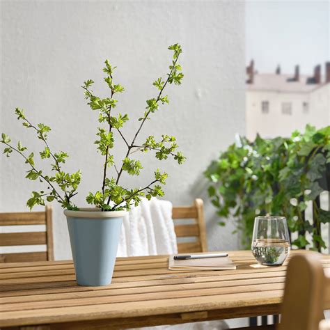 ИКЕА Ваза OLJEPALM, 605.673.49 — купить в интернет-магазине | Home Club