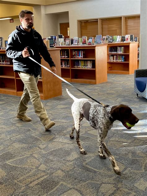 Tsa Hosts Training For Working Canines Their Handlers In Avon